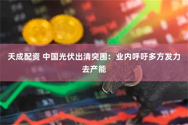 天成配资 中国光伏出清突围:业内呼吁多方发力去产能