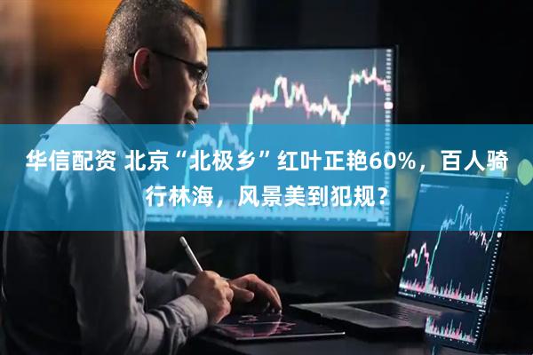 华信配资 北京“北极乡”红叶正艳60%,百人骑行林海,风景美到犯规?