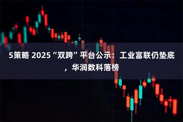 5策略 2025“双跨”平台公示:工业富联仍垫底,华润数科落榜